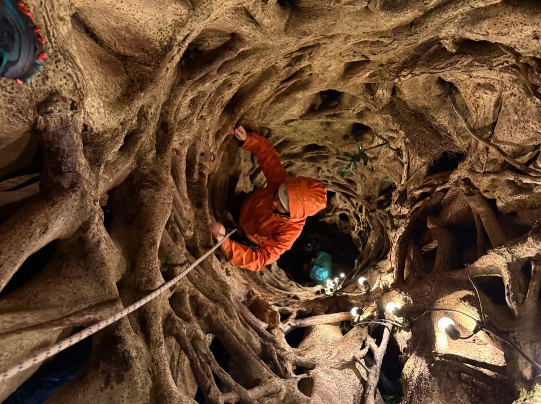 Finca Modelo Ecologica-蒙特沃德必去景点