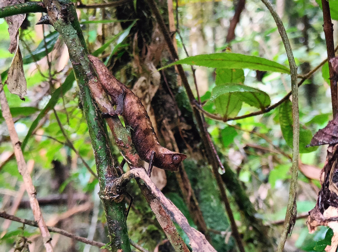 Tour Malin Madagascar-Talatamaty必去景点