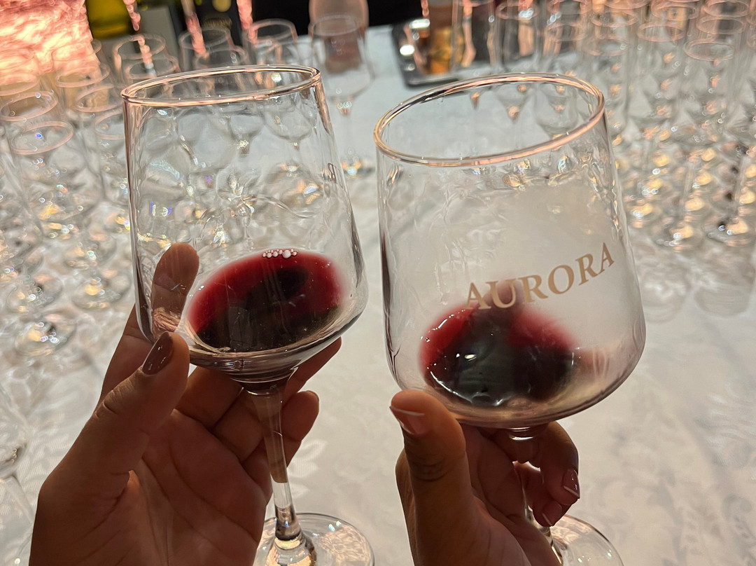 Aurora Winery-本图贡萨尔维斯必去景点