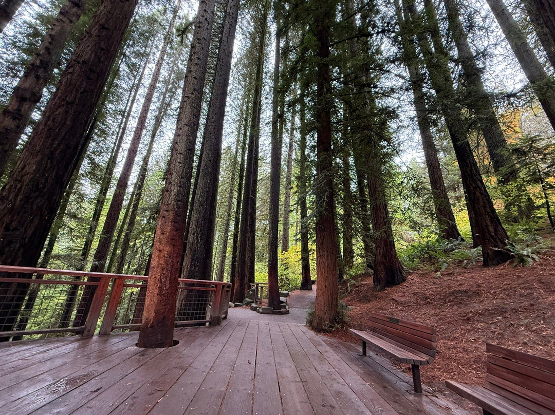 Hoyt Arboretum-波特兰必去景点