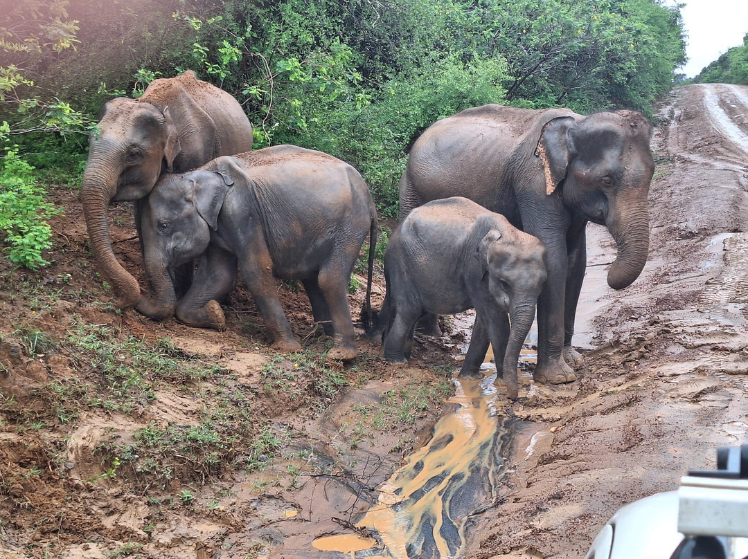 Sampath-Tours-希克杜沃必去景点
