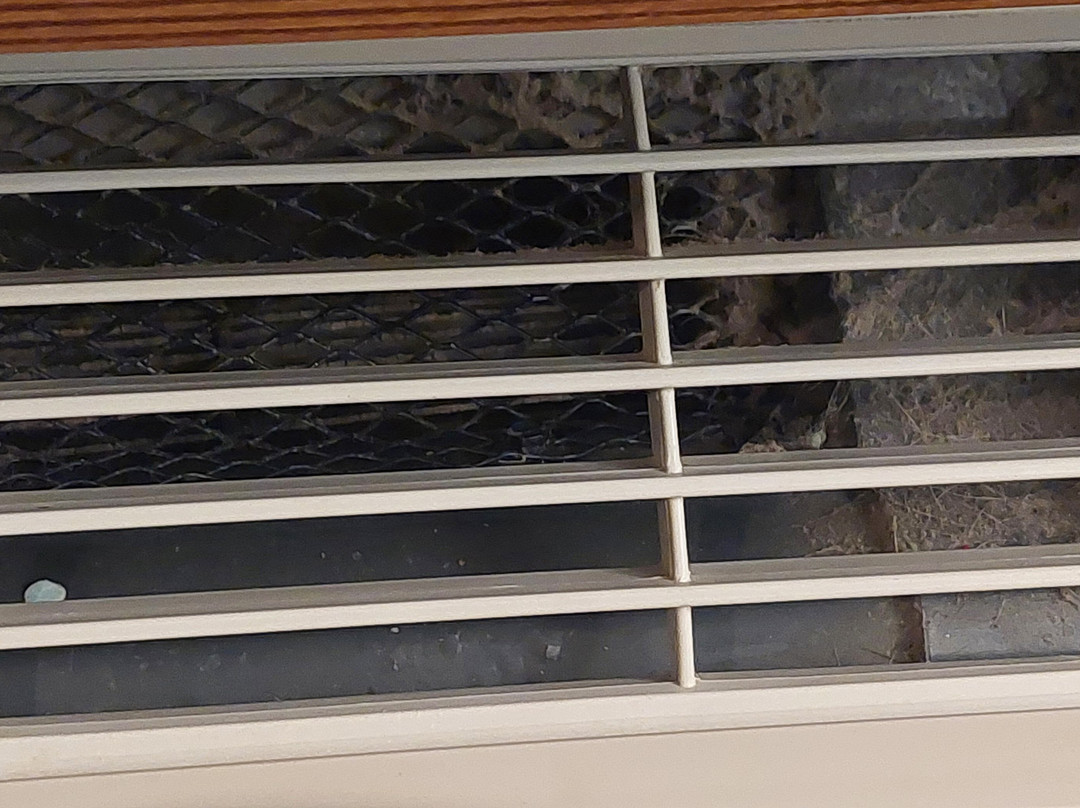 Quality Inn & Suites主图