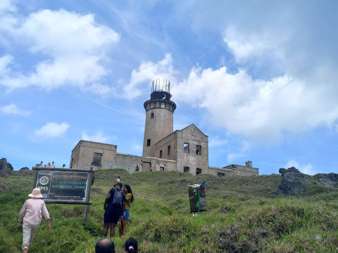 Sud Sauvage Adventure-Surinam必去景点