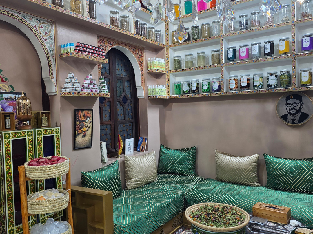 Herbalism Marrakech-马拉喀什必去景点