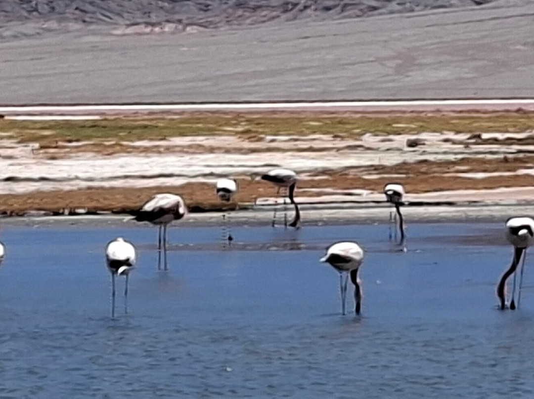 ExploraVidaPuna-萨尔塔必去景点