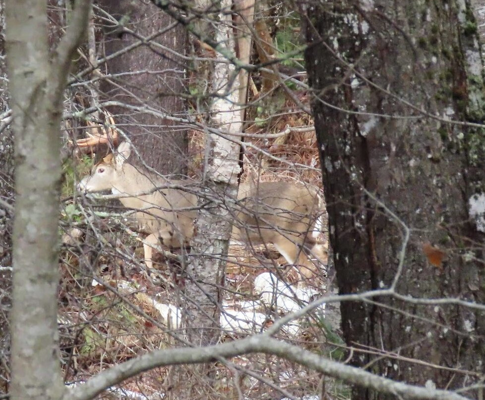 Fort Point State Park-Stockton Springs必去景点