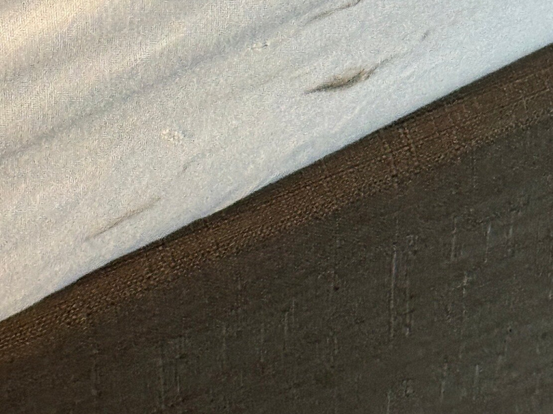 Great Wolf Lodge-拉格兰奇必去景点