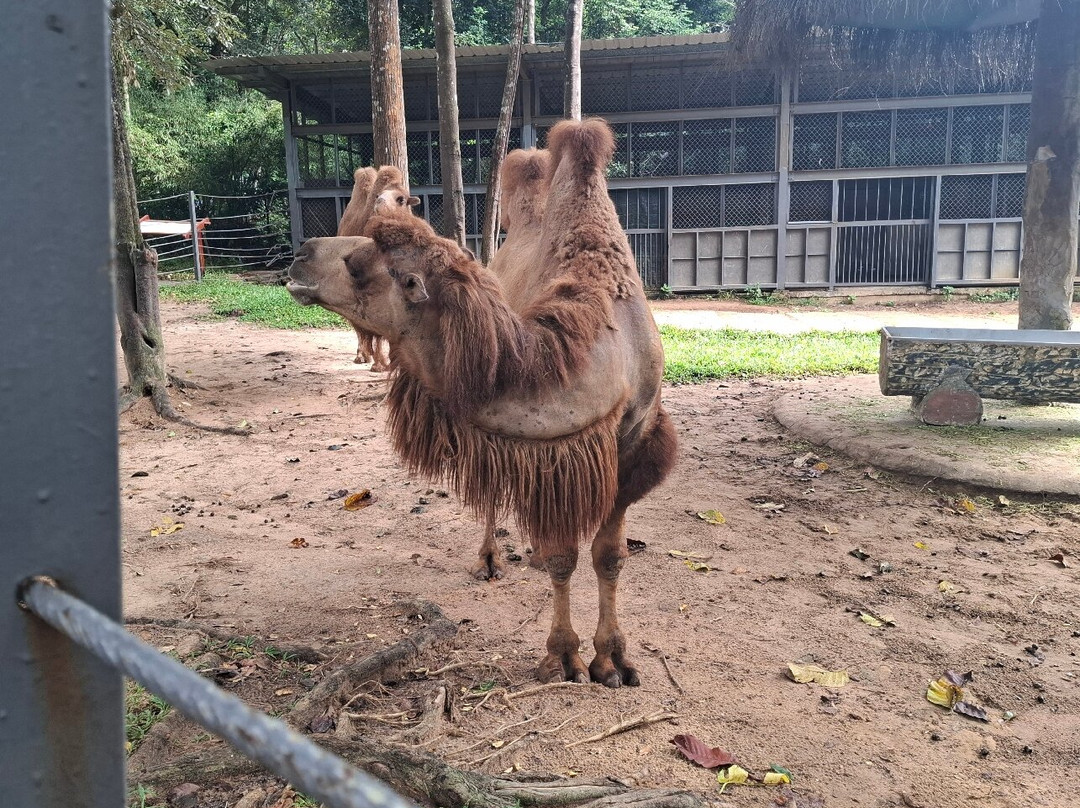 珍珠王国野生动物园-富国岛必去景点