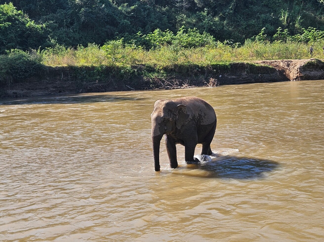 New Elephant Home-Kuet Chang必去景点