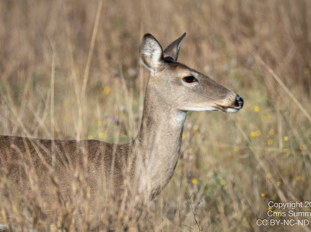 McKinney Falls State Park-奥斯丁必去景点
