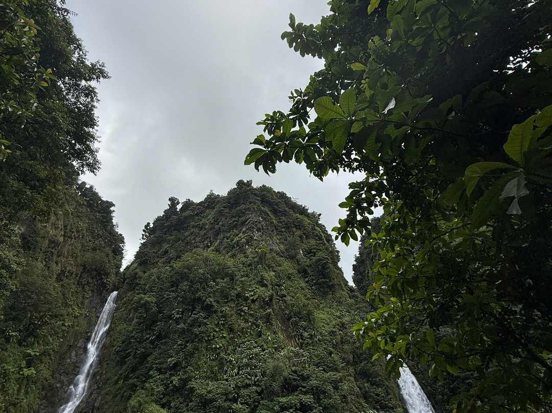 Trafalgar Falls-Morne Trois Pitons National Park必去景点