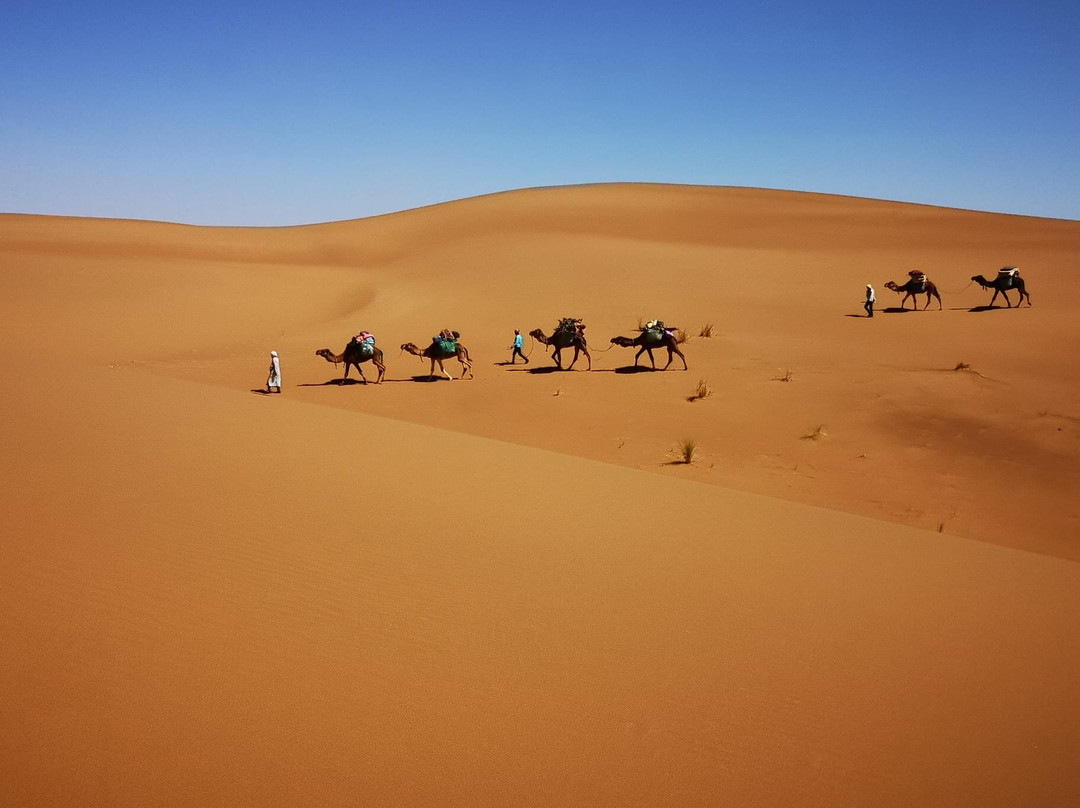Cadence du Desert-迈哈米德必去景点