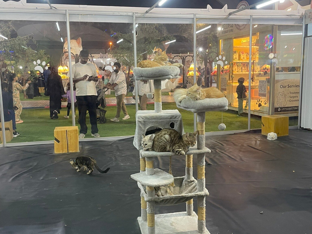 Festival Land Ajman-阿治曼必去景点