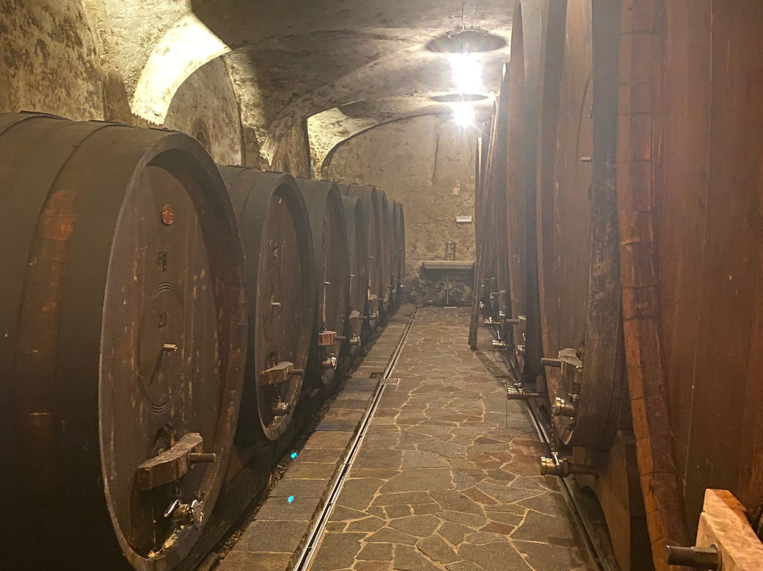 Endrizzi-San Michele all'Adige必去景点