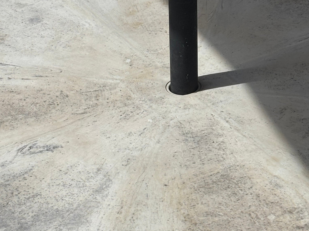 Plum Tree Club主图