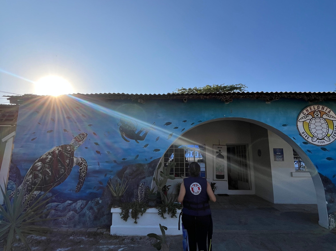 Chelonia Dive Center-Organos必去景点