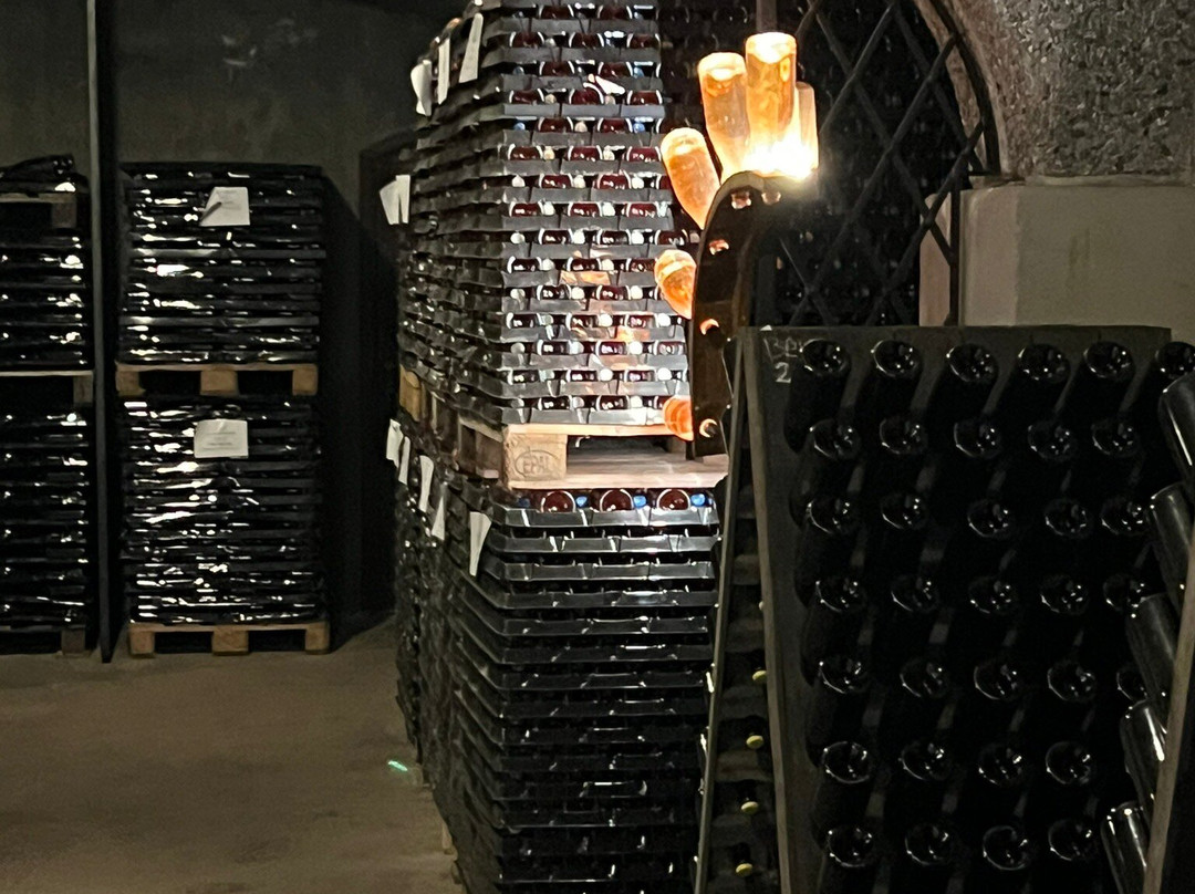 Società Agricola Castelveder-Monticelli Brusati必去景点