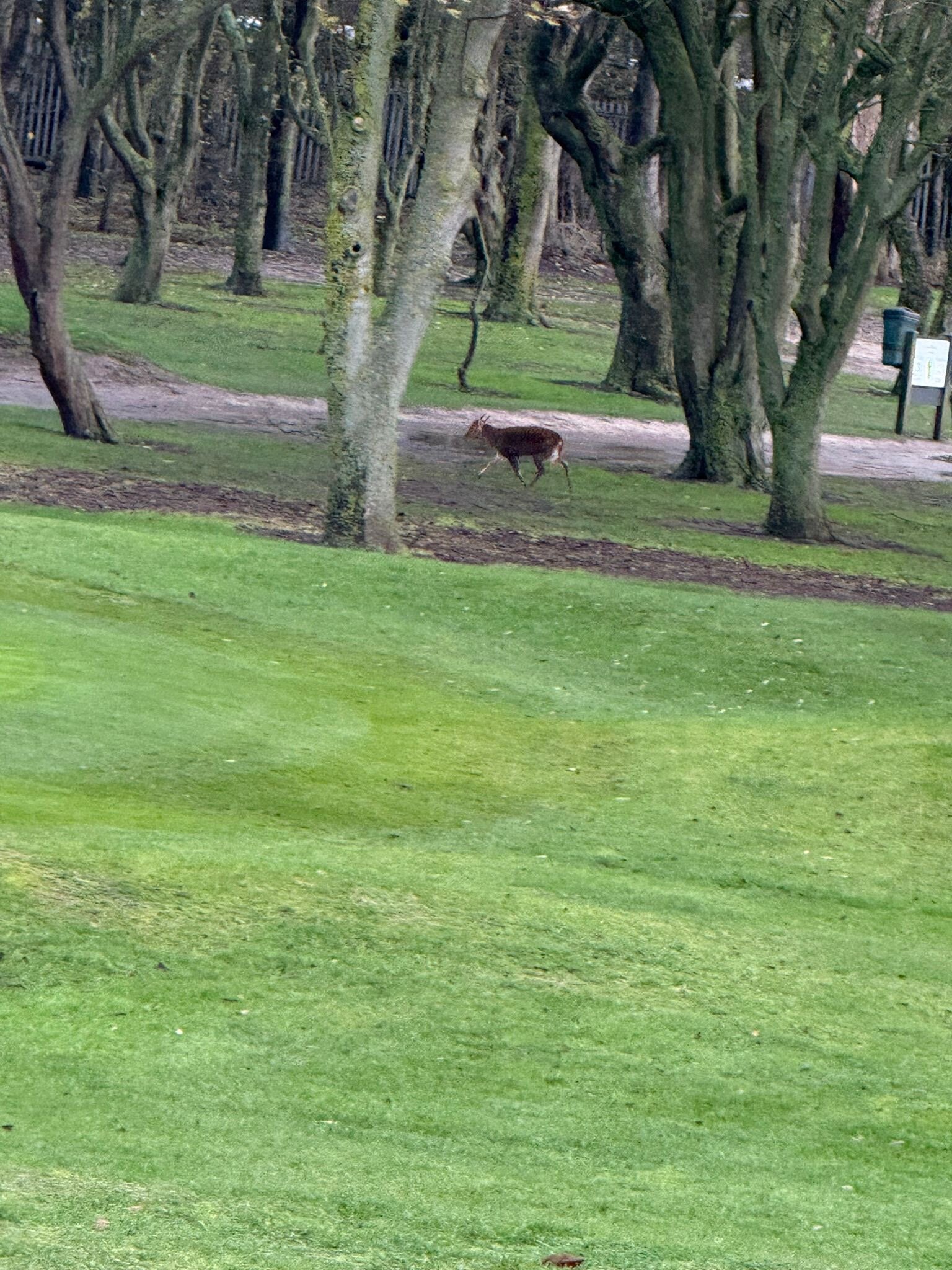 North Shore Hotel and Golf Club-官方