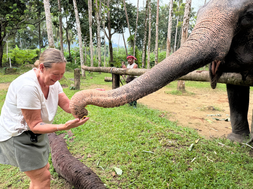 Coconut Elephant Camp Khaolak-Khuekkhak必去景点