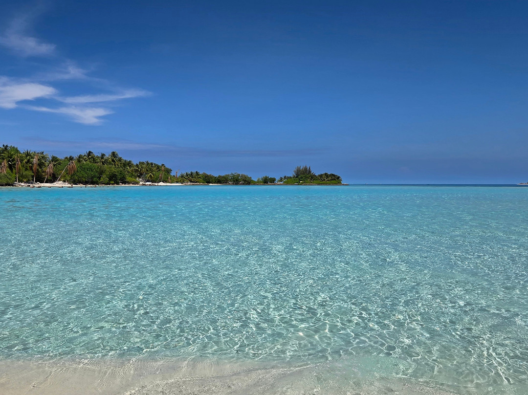 Papa Fish Excursions-乌库拉斯必去景点