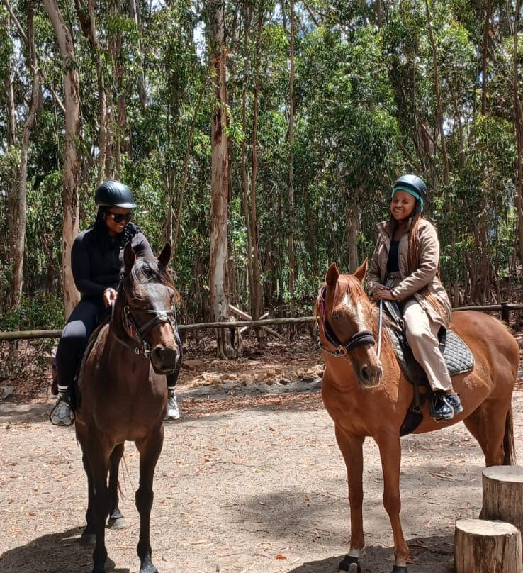Heaven and Earth Trails-赫曼努斯必去景点