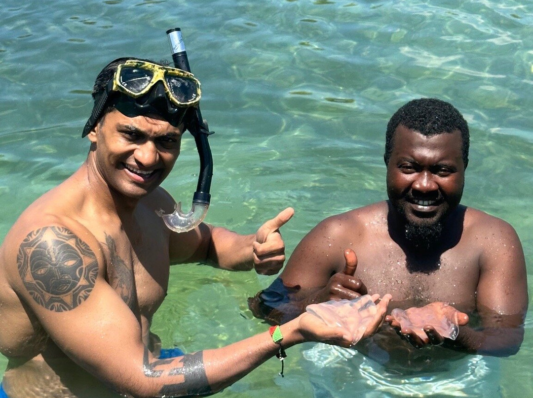 Blue - Green Zanzibar Tours and Safari-石头城必去景点