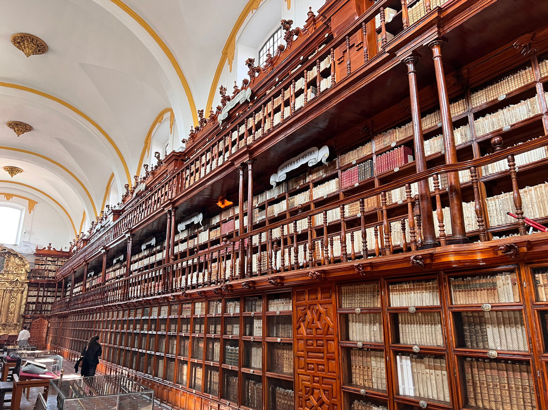 Biblioteca Palafoxiana-普埃布拉必去景点