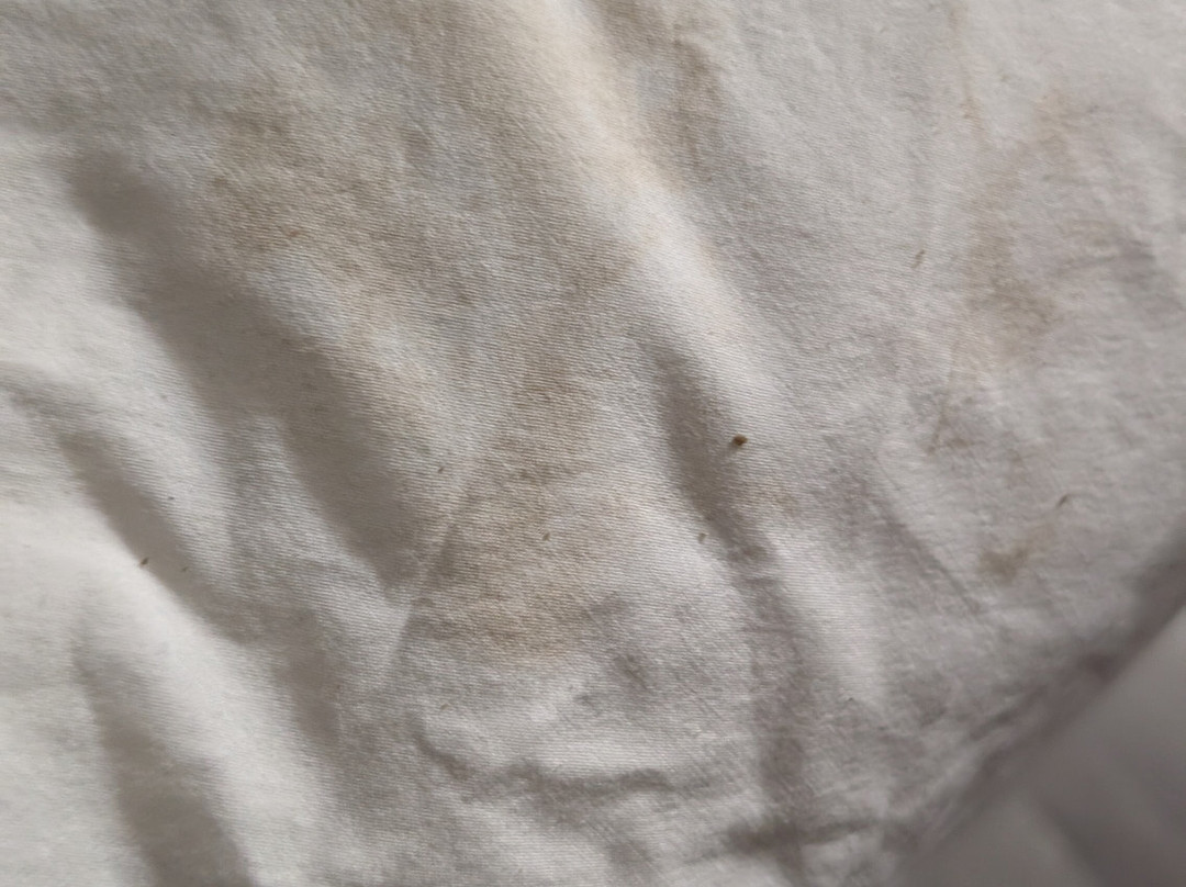 Super 8 by Wyndham Shawnee主图