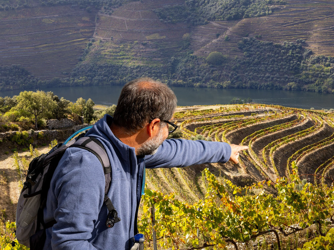Douro Walks-Ervedosa do Douro必去景点