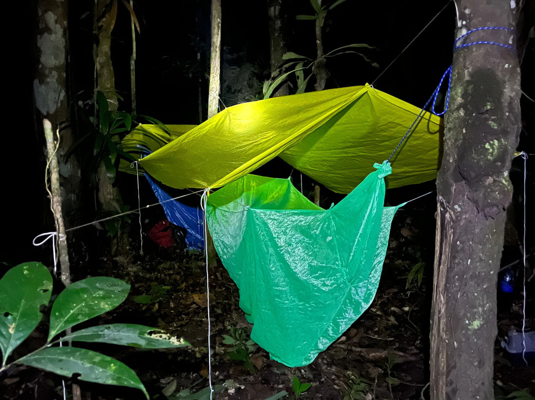 Selvaventura Colombia-莱蒂西亚必去景点