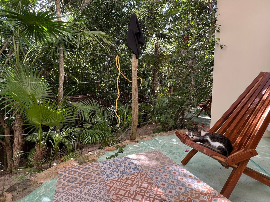 Casa Mia El Cuyo Eco Beach Boutique主图