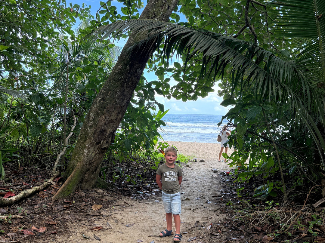 The Biologist from Cahuita-卡维塔必去景点