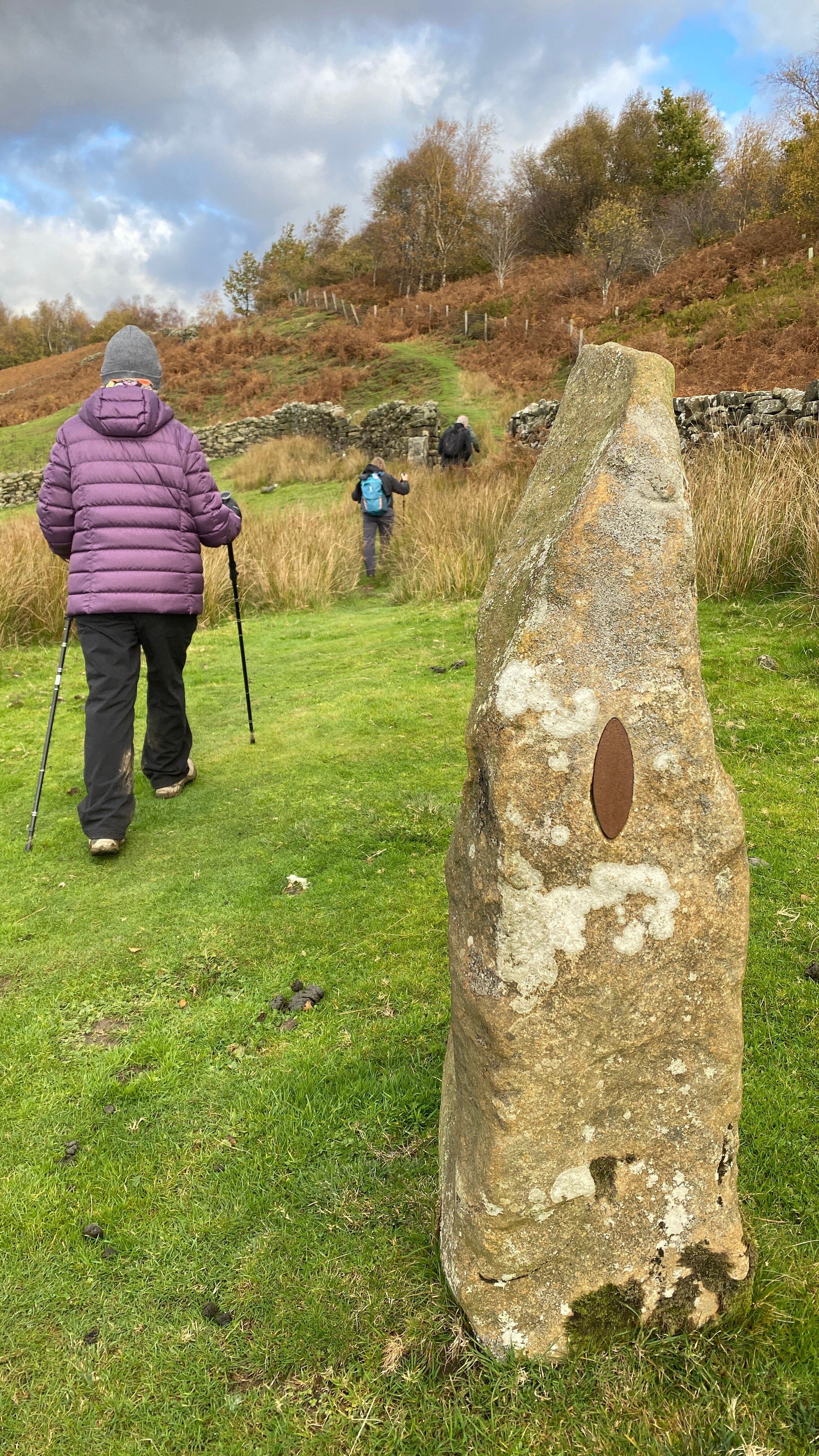 Sevenford House-官方