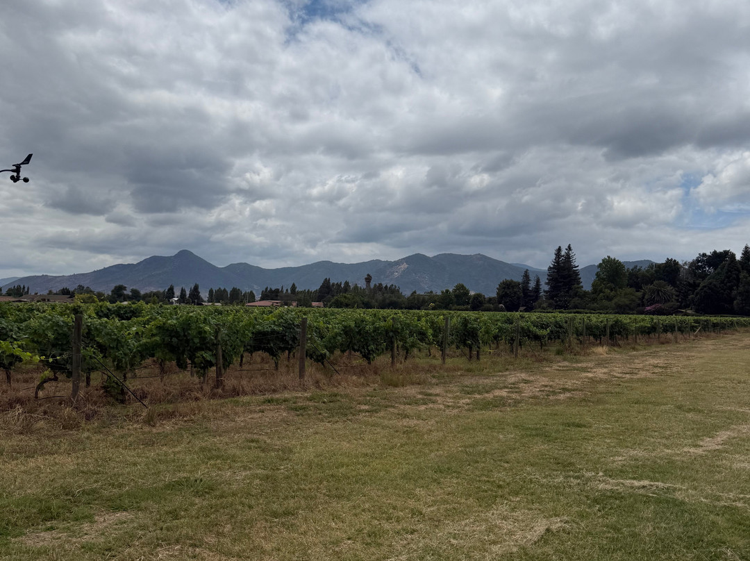 Laura Hartwig Winery-圣克鲁斯必去景点