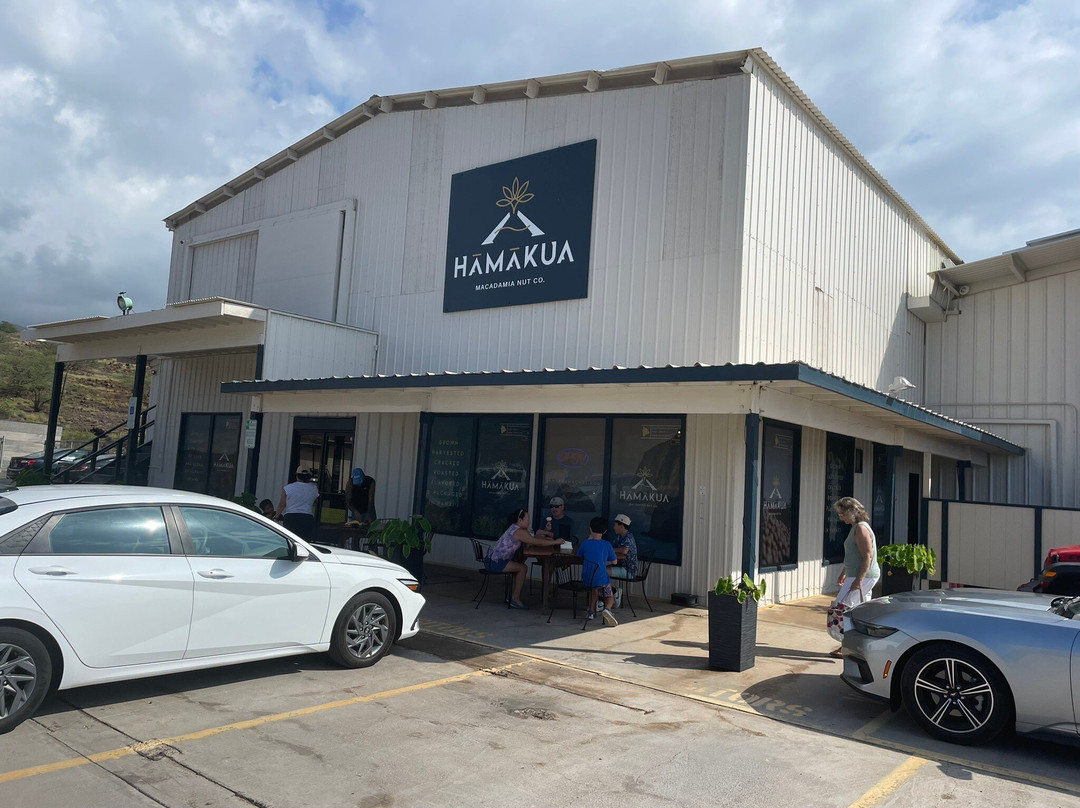Hamakua Macadamia Nut Co-卡威哈也必去景点