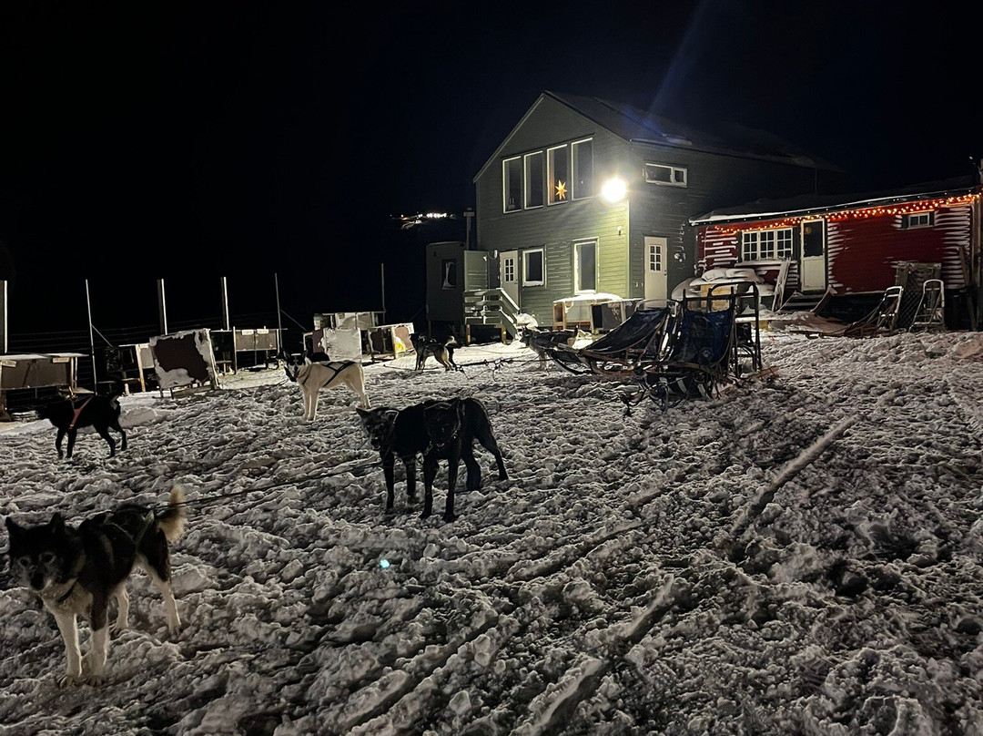 Husky Travellers-朗伊尔城必去景点