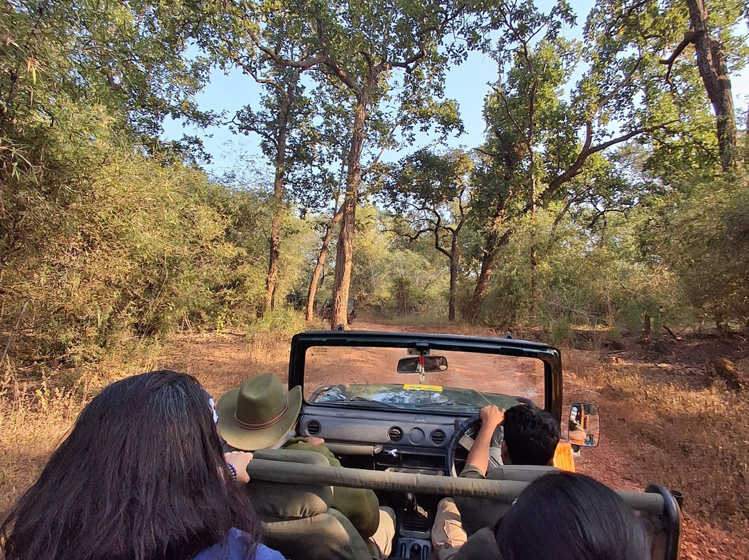 Wildlife Expeditions India-Khatia必去景点