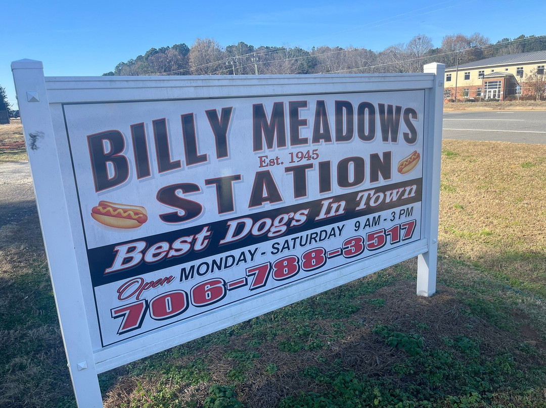 Billy Meadow's Station