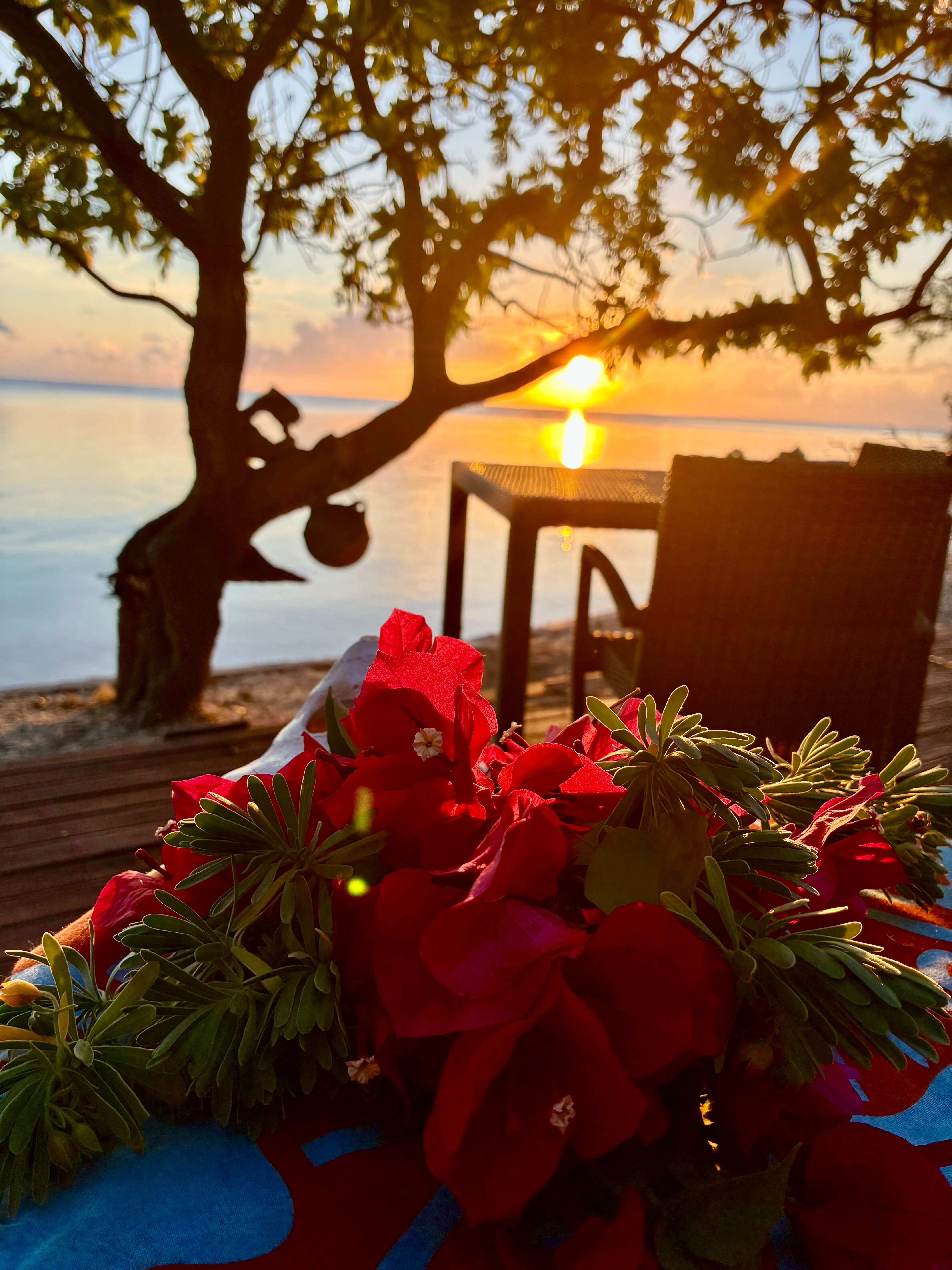 Hotel Raira Lagon-官方