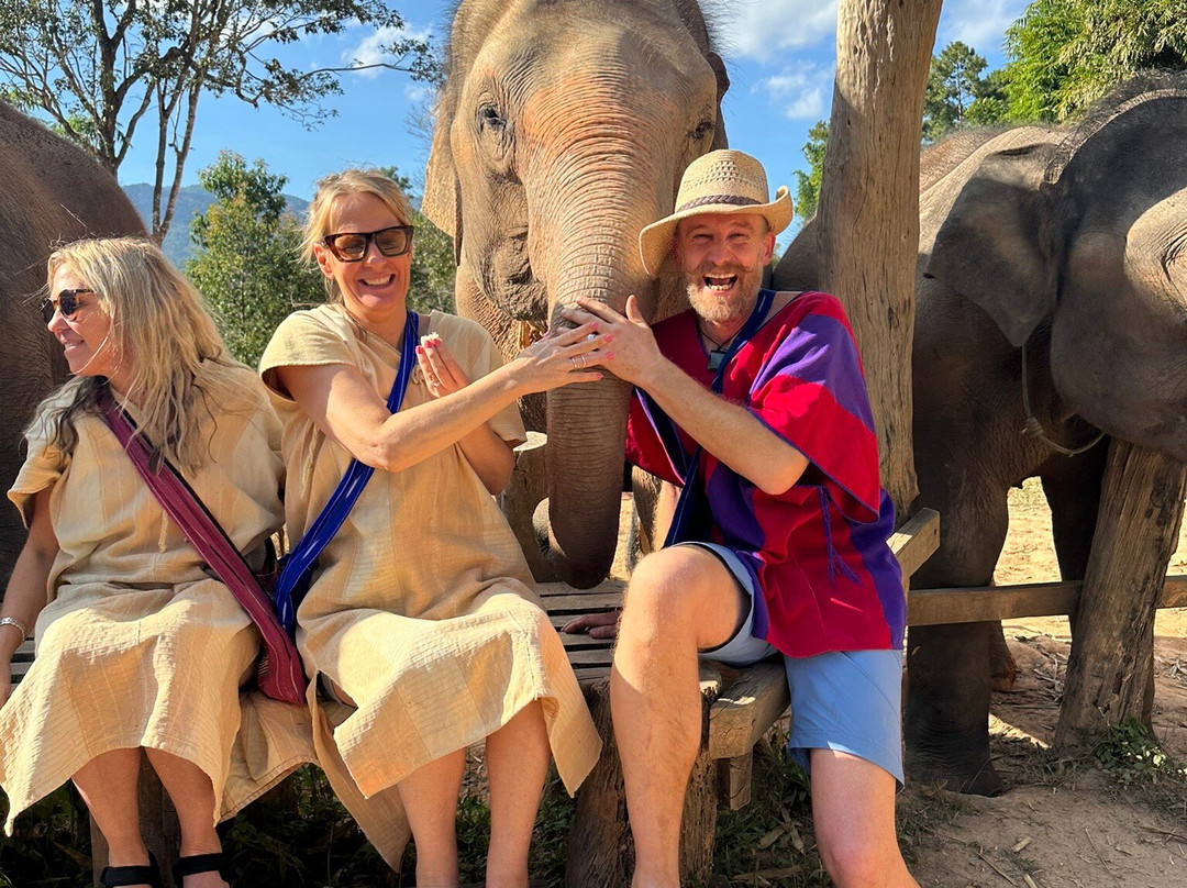 Elephant Freedom Village-清迈必去景点