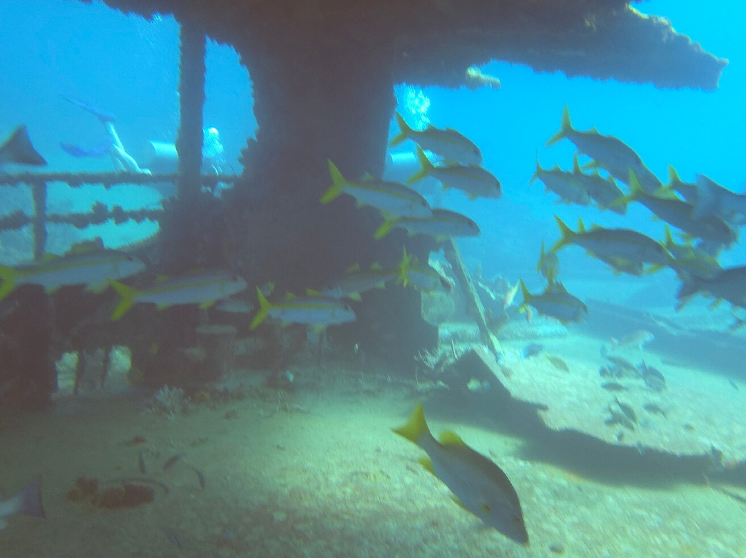 Seaklub la Romana-拉罗马纳必去景点