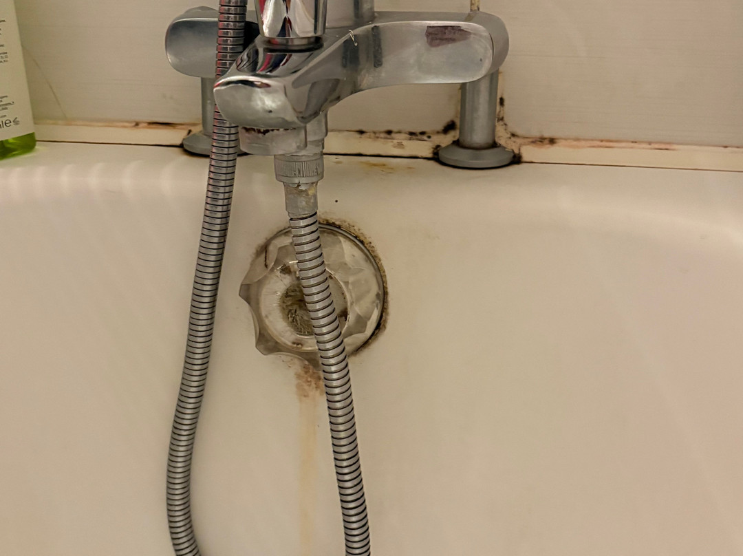 The Originals Access Hotel Arum, Remiremont主图