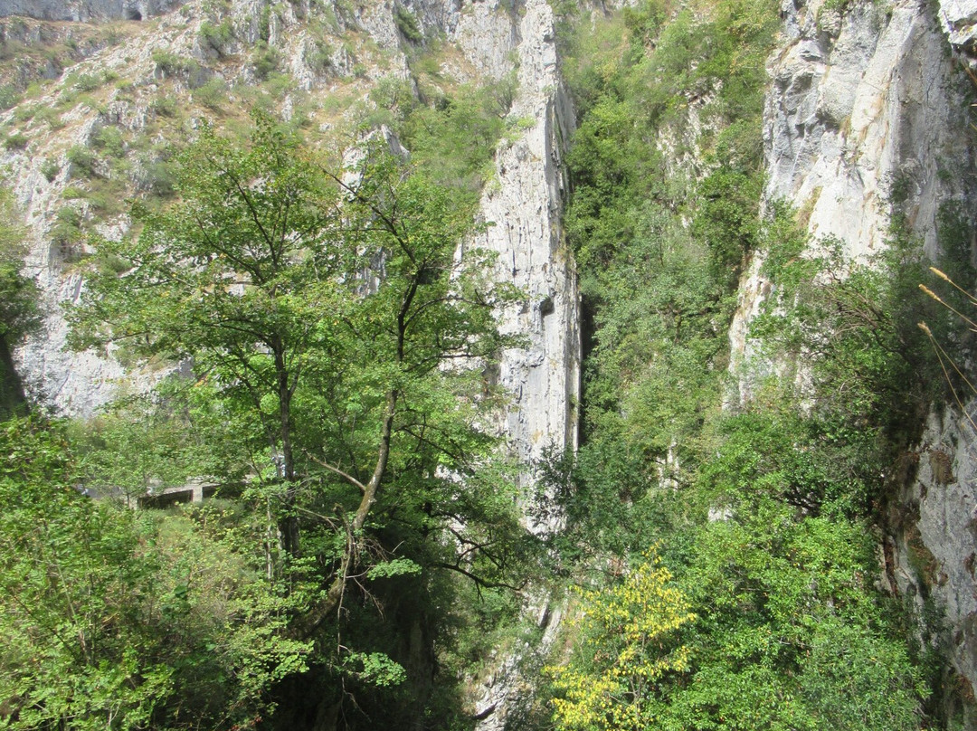 Desfiladero de Los Beyos-Amieva必去景点