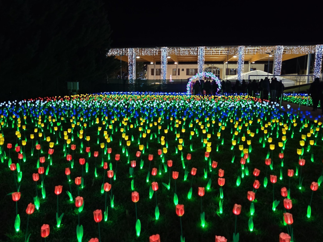 Lucine di Natale-Leggiuno必去景点