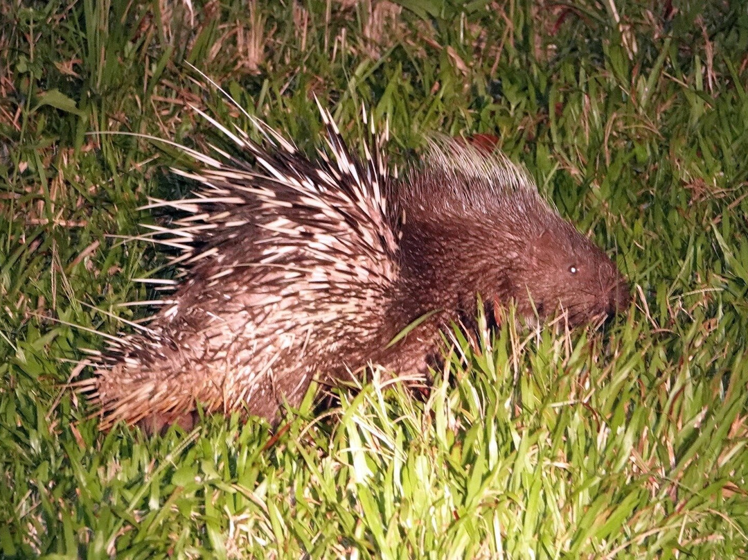 Khao Yai National Park-北丕必去景点