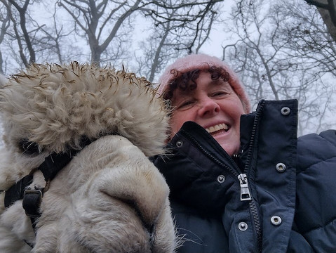 Petlake Alpacas of the New Forest-Totton必去景点