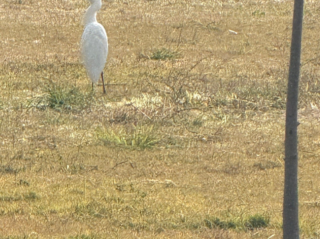 Kasba - A Village Resort主图