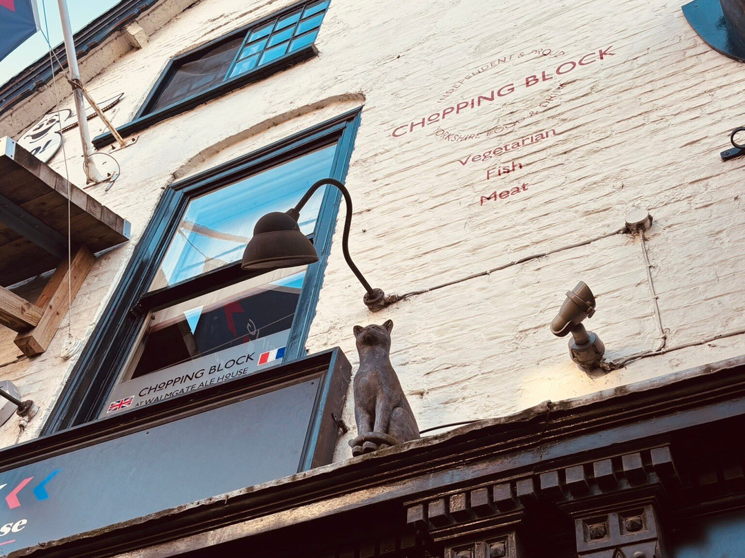 York Cat Trail-约克必去景点