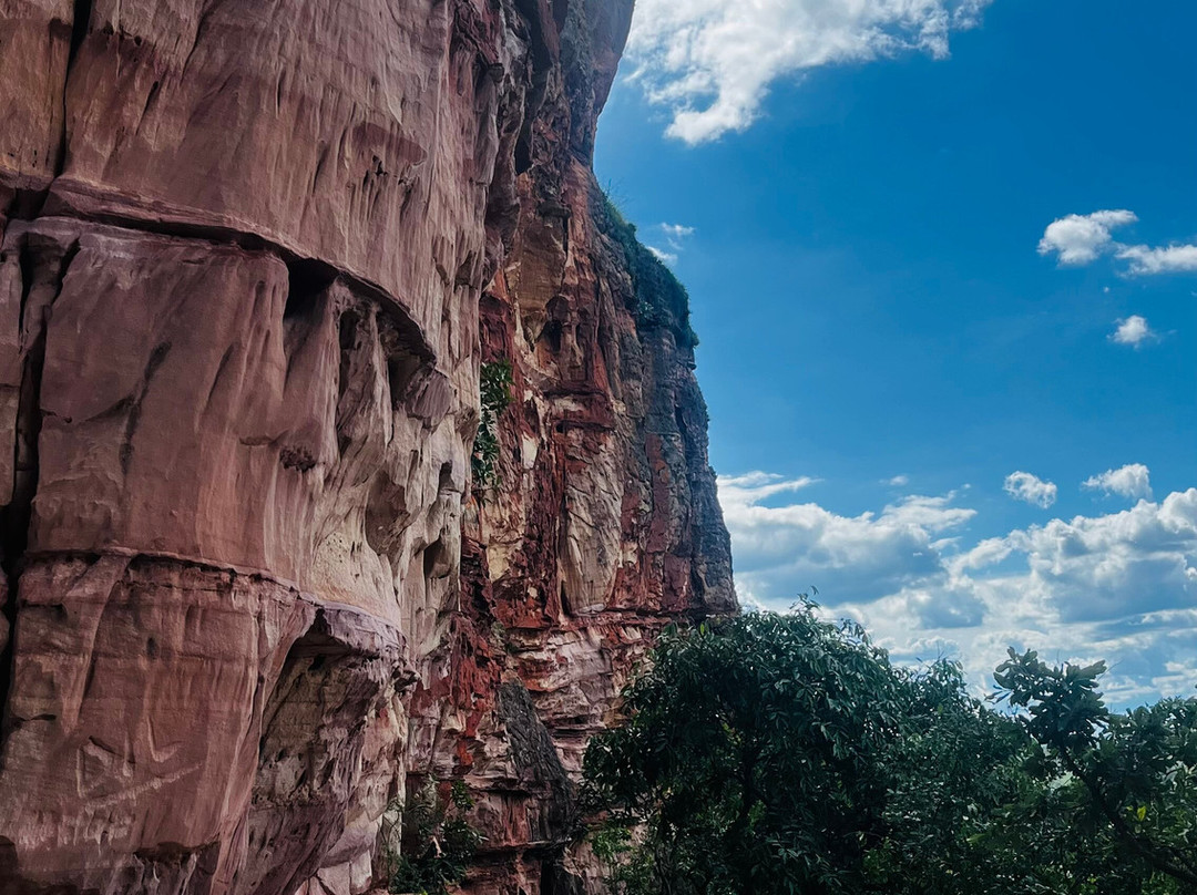 Cerrado Rupestre-Palmas必去景点