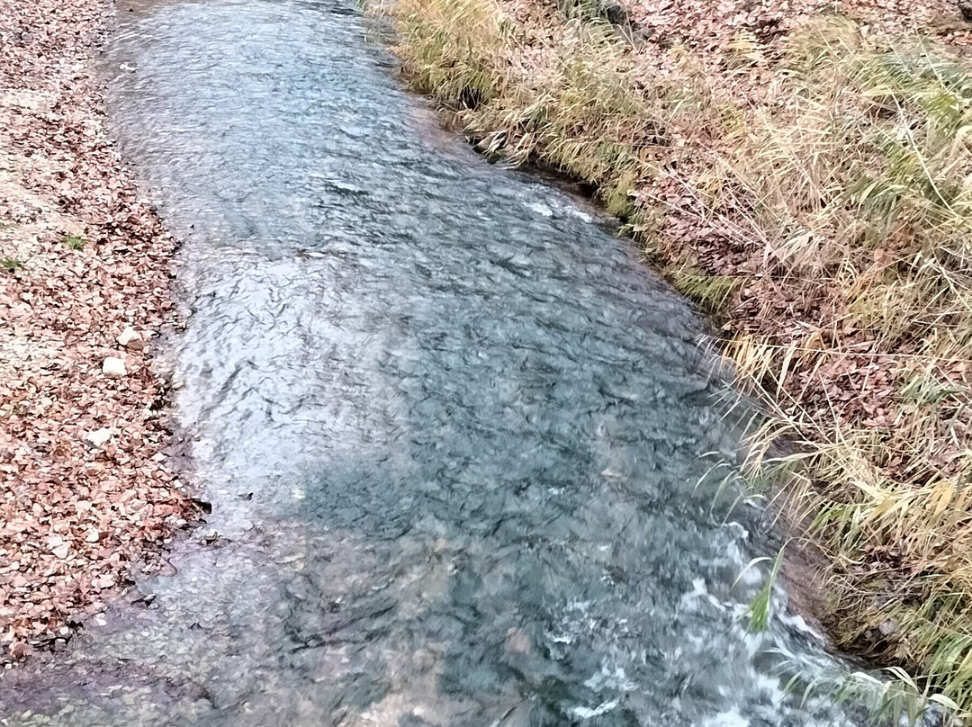 Andador Visitas Guiadas Albarracin y Teruel-阿尔巴拉辛必去景点